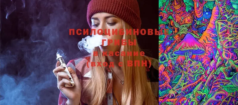 как найти закладки  Ак-Довурак  Галлюциногенные грибы MAGIC MUSHROOMS 